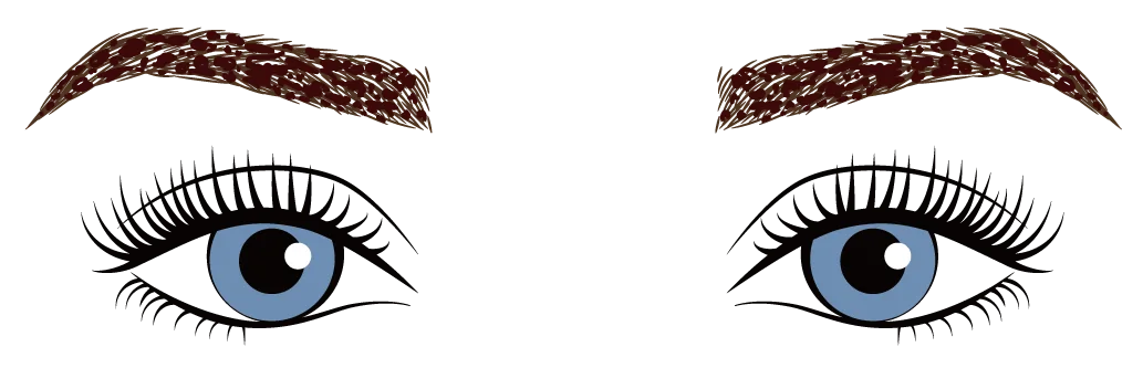 かさぶたができた時期の眉のイラスト